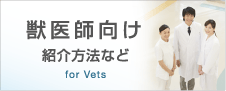 獣医師向け　症例の紹介方法など