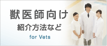 獣医師向け　症例の紹介方法など