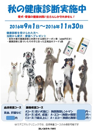 2016　院内ポスター.jpgのサムネイル画像