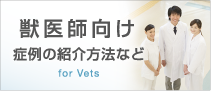 獣医師向け　症例の紹介方法など